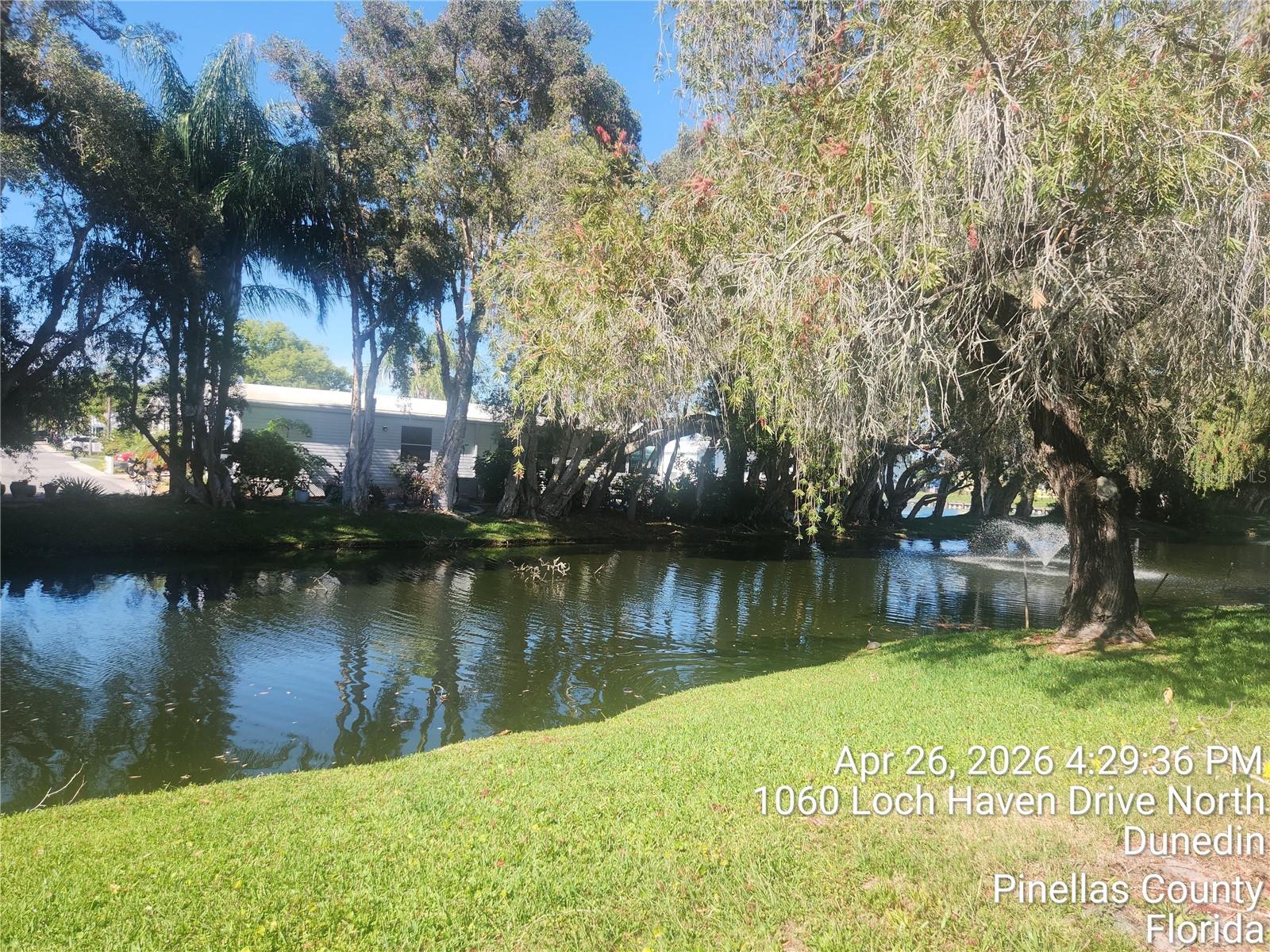 1064 LOCH HAVEN DR N #1064, DUNEDIN, FL, 34698