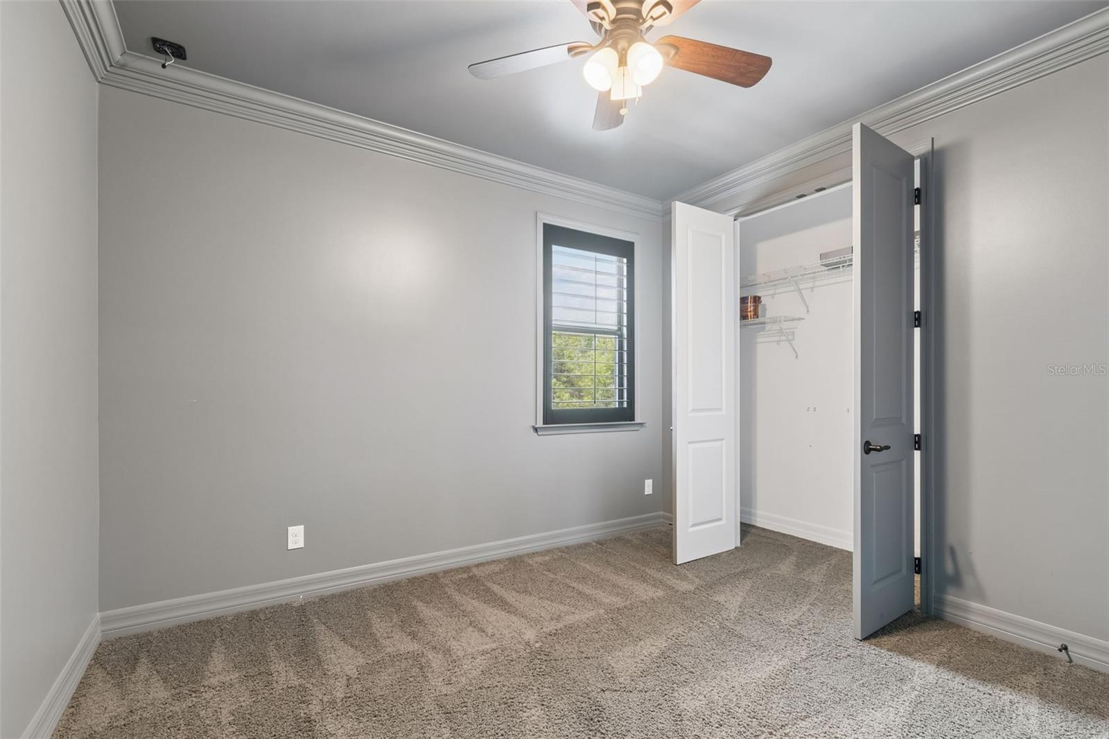 14320 AVON FARMS DR, TAMPA, FL, 33618