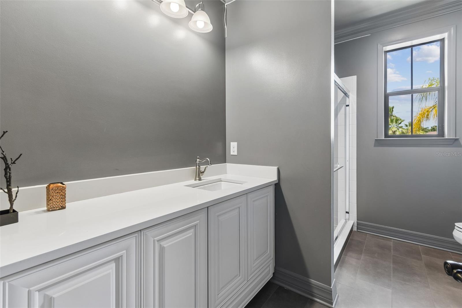 14320 AVON FARMS DR, TAMPA, FL, 33618