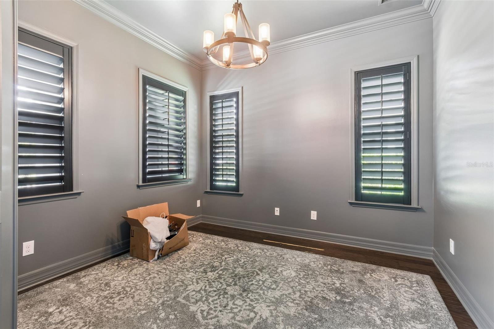 14320 AVON FARMS DR, TAMPA, FL, 33618