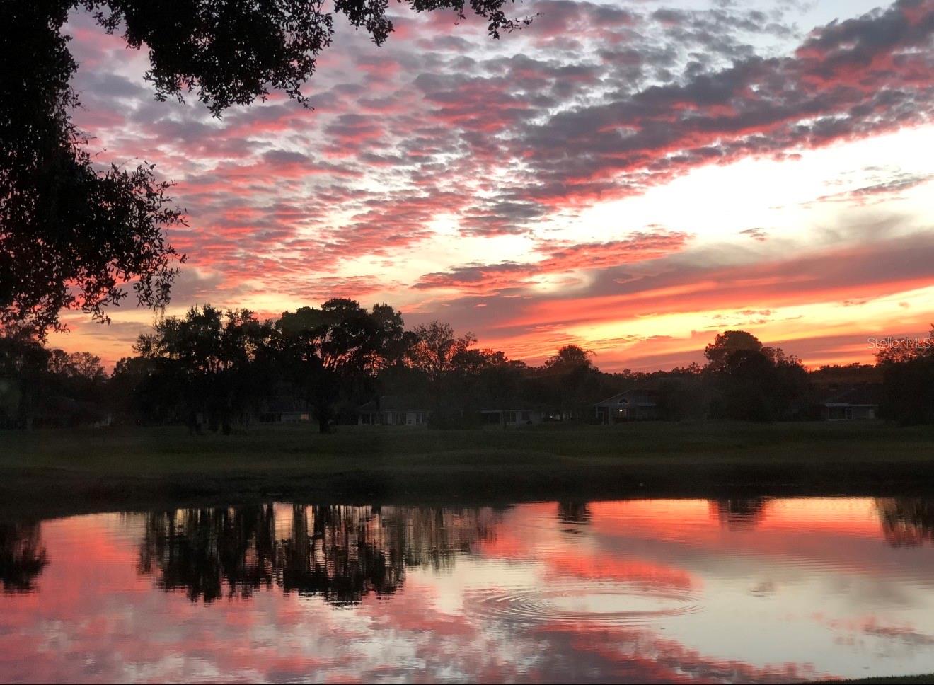 2611 LOCKSLEY ST #250, SUN CITY CENTER, FL, 33573