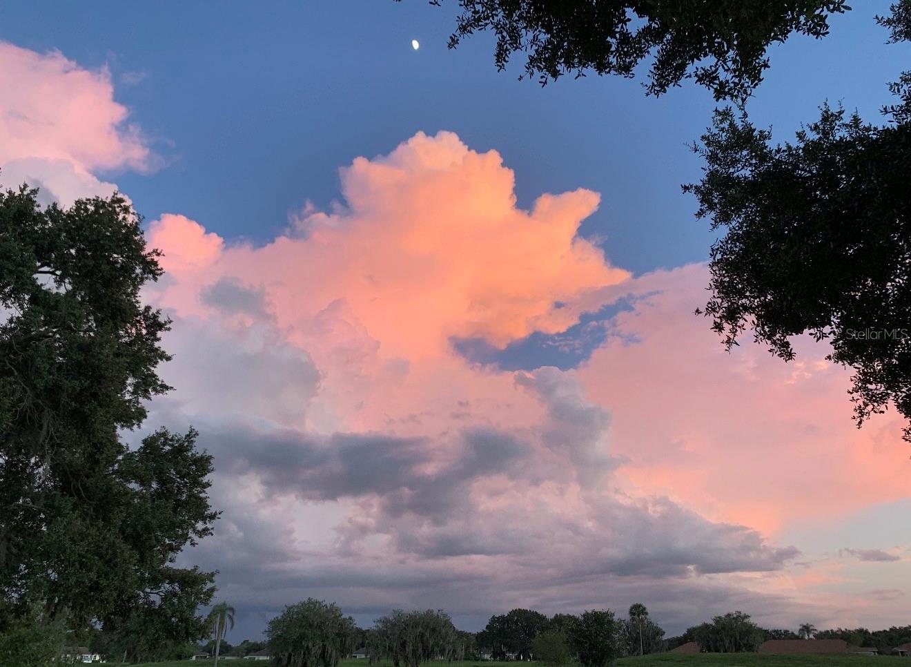 2611 LOCKSLEY ST #250, SUN CITY CENTER, FL, 33573