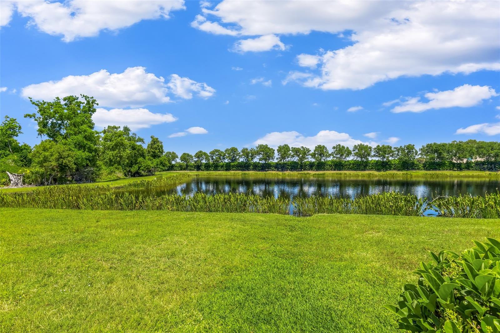 10103 MARBELLA DR, BRADENTON, FL, 34211