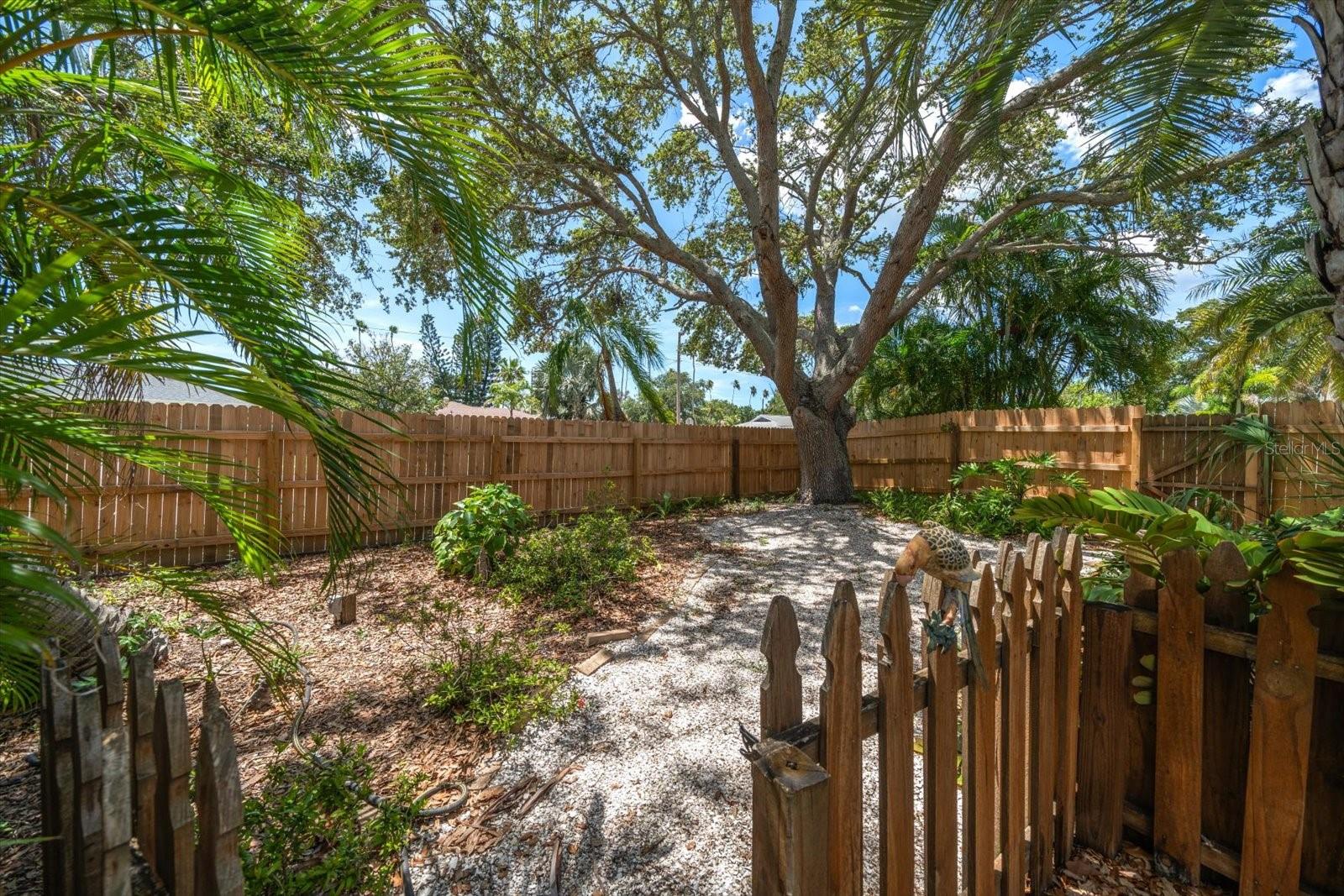 301 CEVERA DR, DUNEDIN, FL, 34698