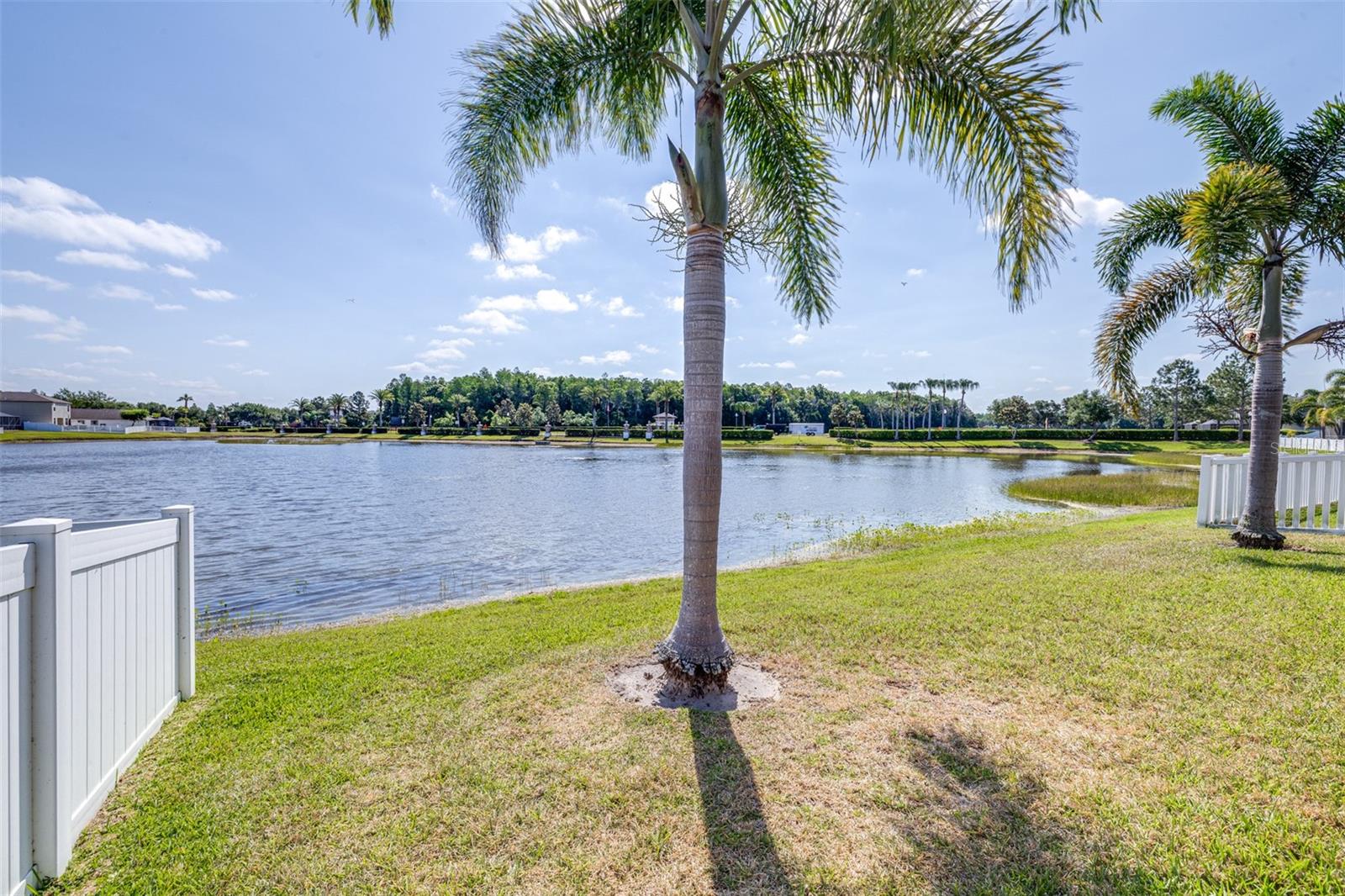 1762 HADDEN HALL PL, TRINITY, FL, 34655