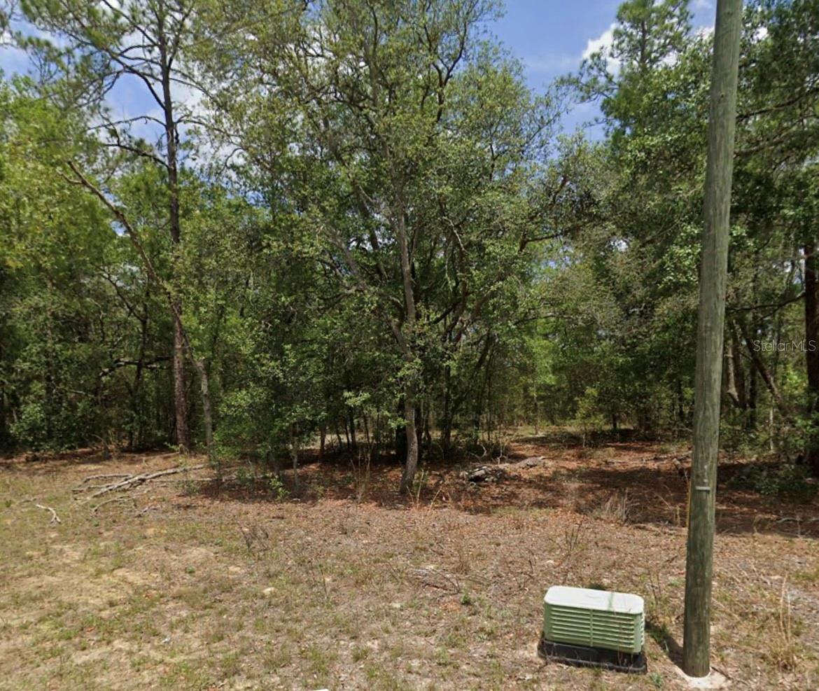 11304 N FUEGO DR, CITRUS SPRINGS, FL, 34434