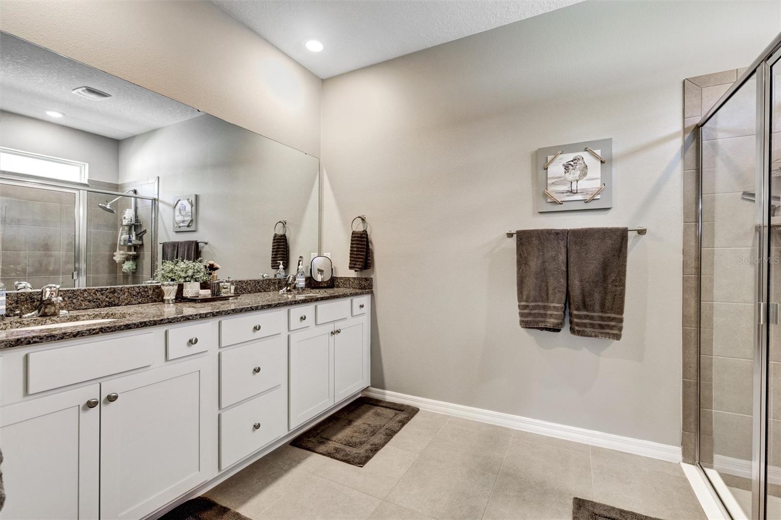 11925 CROSS VINE DR, RIVERVIEW, FL, 33579