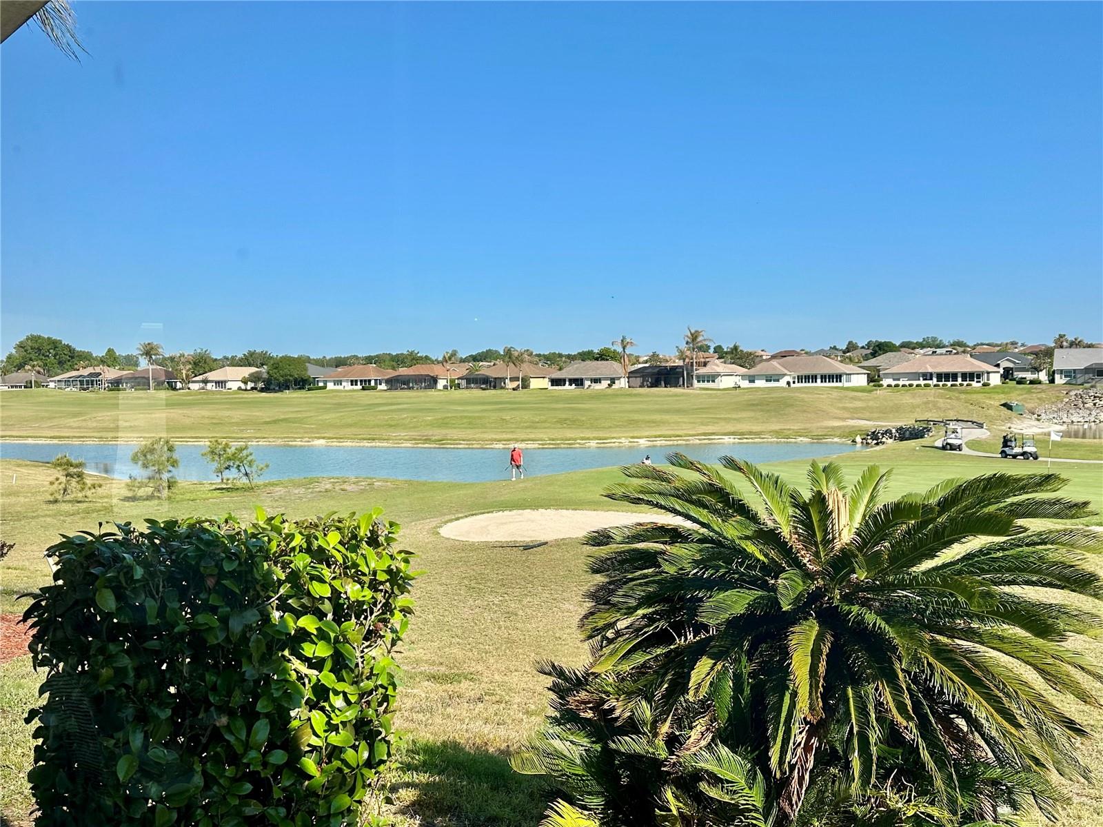 17552 SE 119TH CIR, SUMMERFIELD, FL, 34491