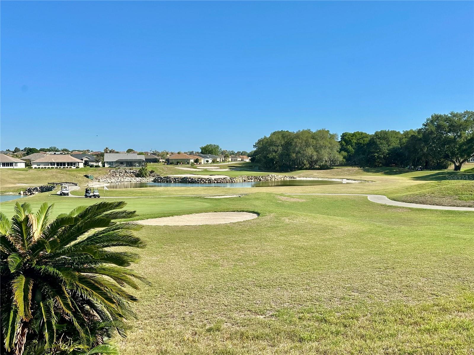 17552 SE 119TH CIR, SUMMERFIELD, FL, 34491