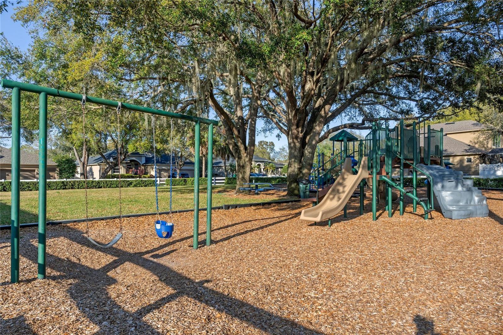 849 SHADOWMOSS DR, WINTER GARDEN, FL, 34787