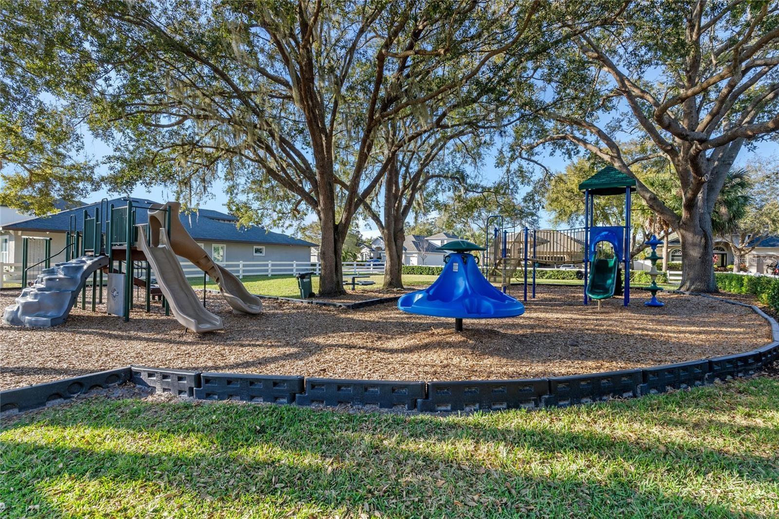 849 SHADOWMOSS DR, WINTER GARDEN, FL, 34787