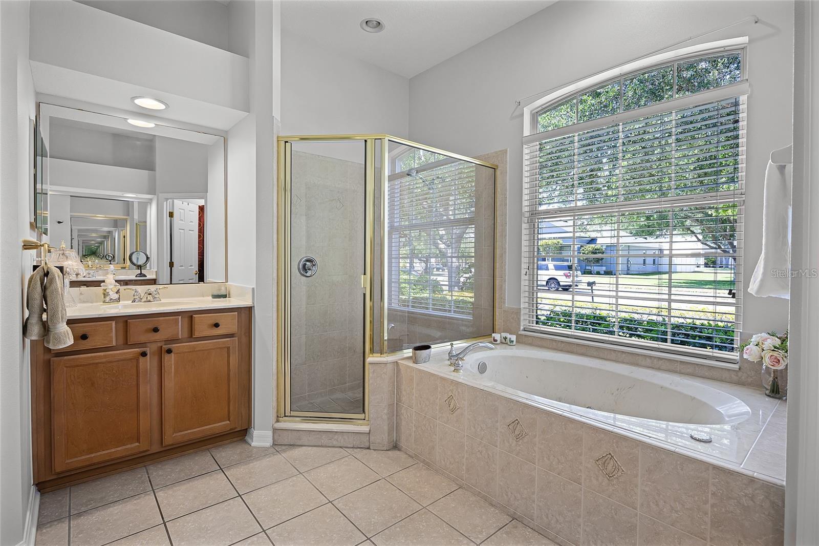 849 SHADOWMOSS DR, WINTER GARDEN, FL, 34787