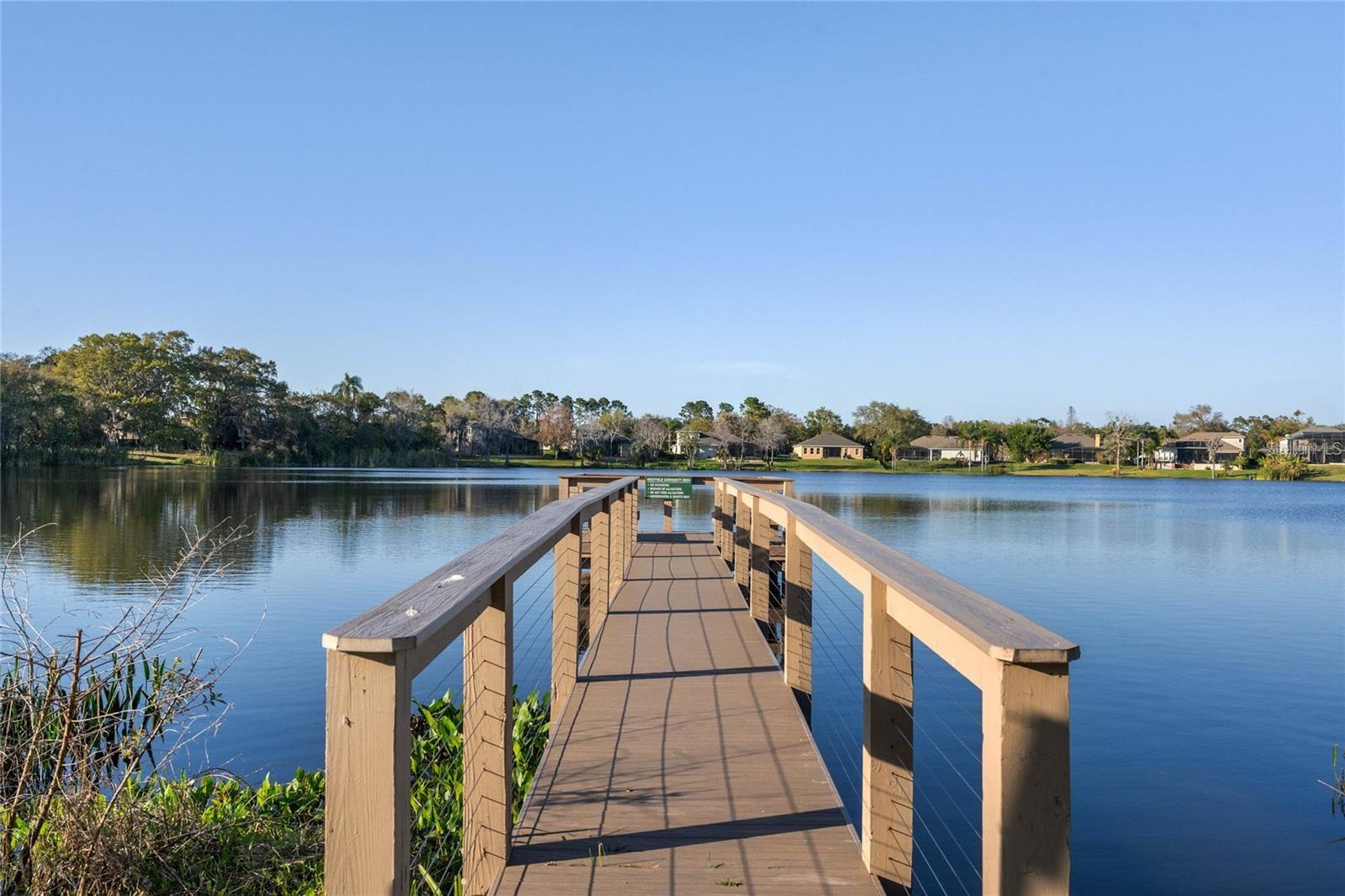 849 SHADOWMOSS DR, WINTER GARDEN, FL, 34787