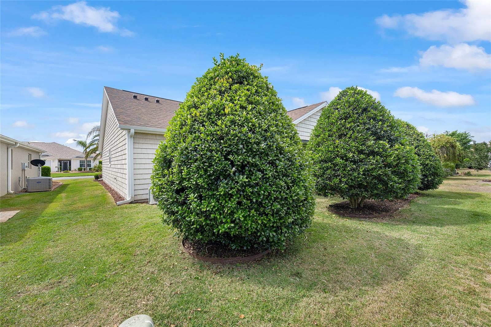 1800 DUTCHESS LOOP, THE VILLAGES, FL, 32162