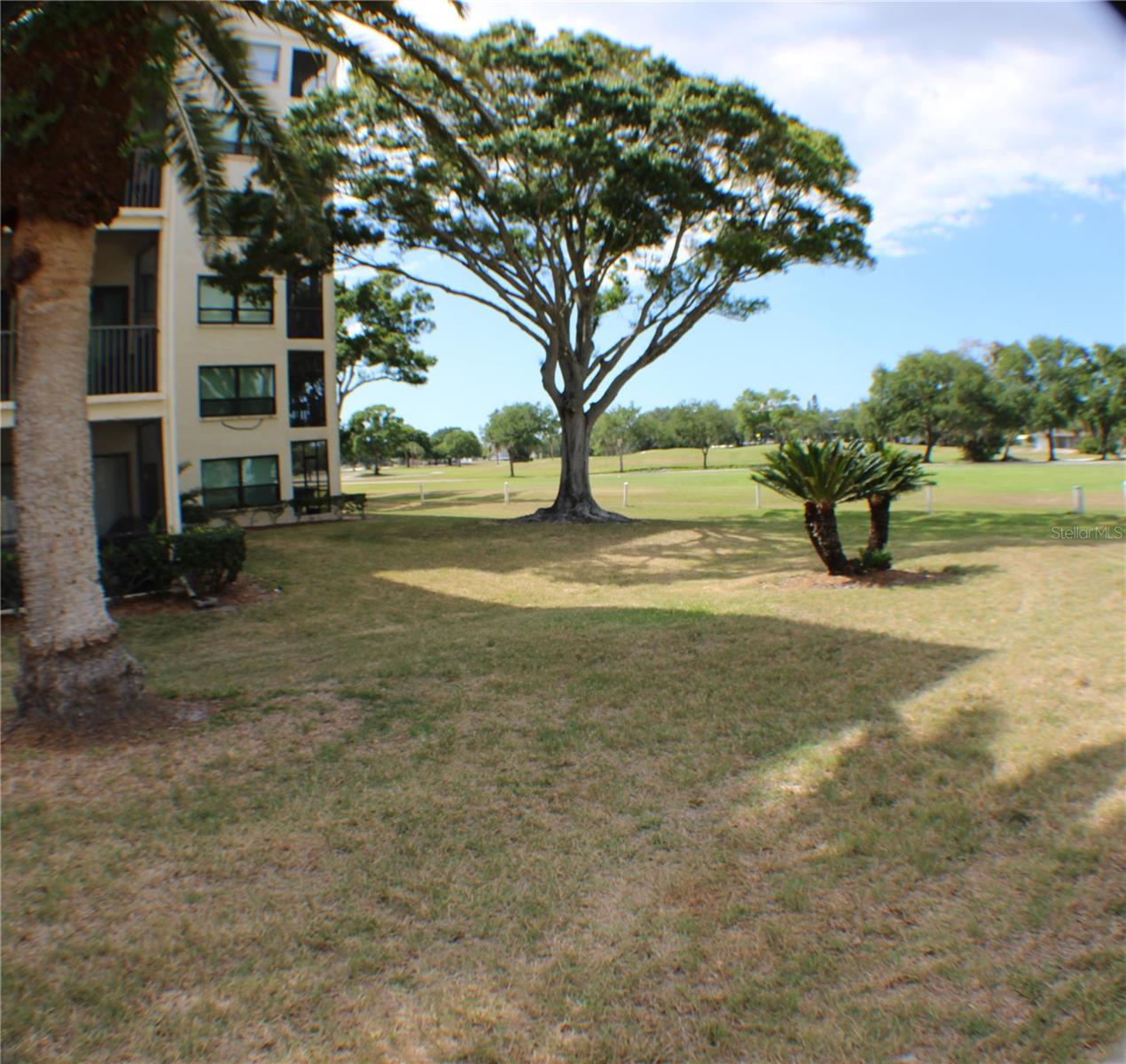 700 STARKEY RD #352, LARGO, FL, 33771