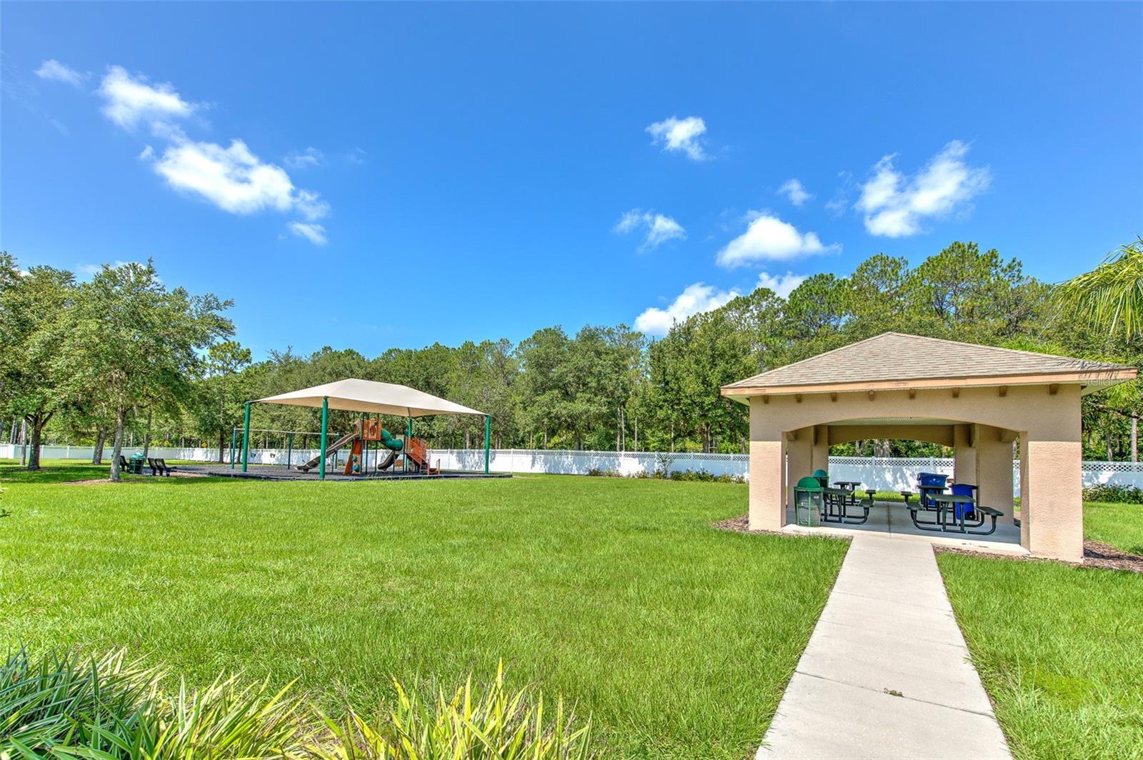 4812 WALNUT RIDGE RD, LAND O LAKES, FL, 34638