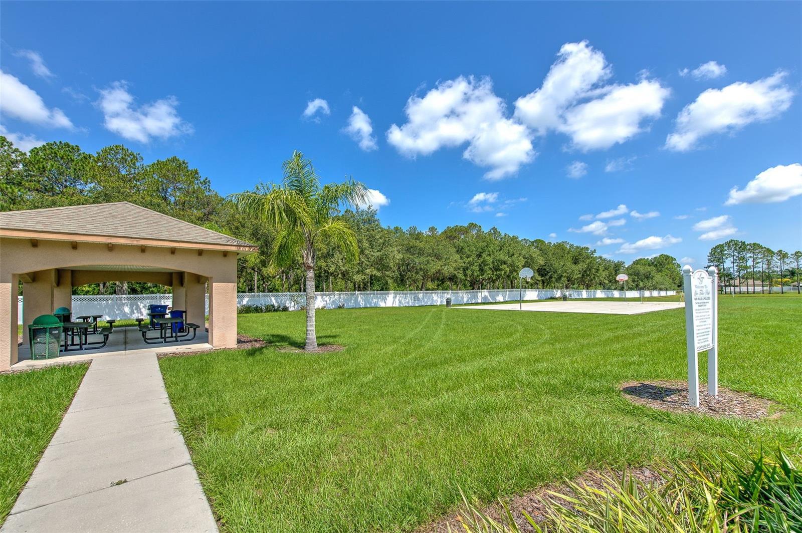 4812 WALNUT RIDGE RD, LAND O LAKES, FL, 34638