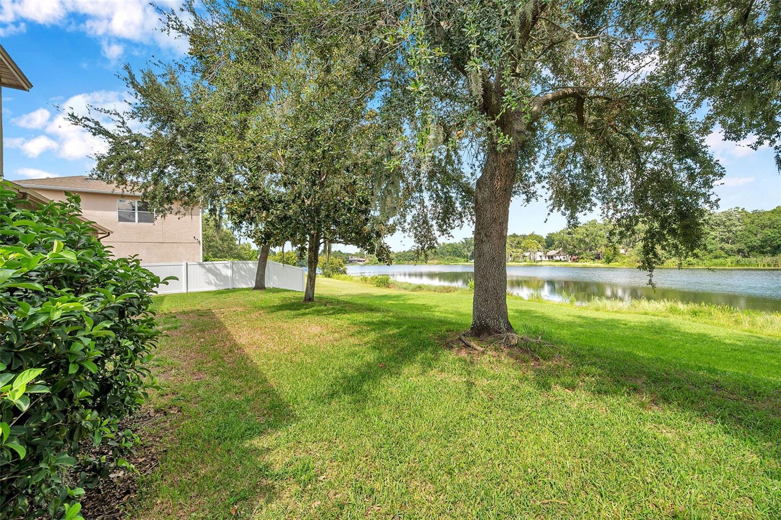 4812 WALNUT RIDGE RD, LAND O LAKES, FL, 34638
