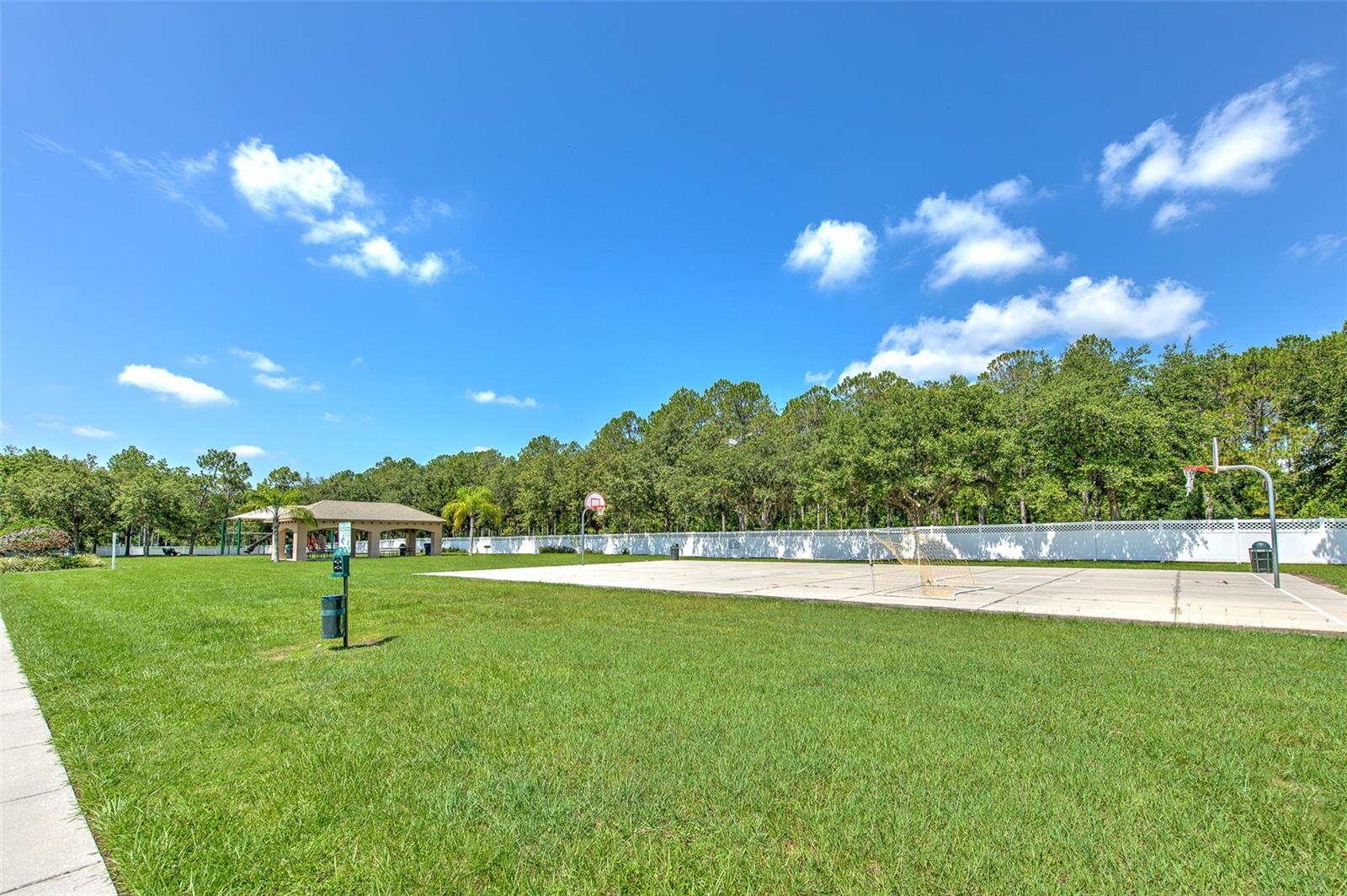4812 WALNUT RIDGE RD, LAND O LAKES, FL, 34638