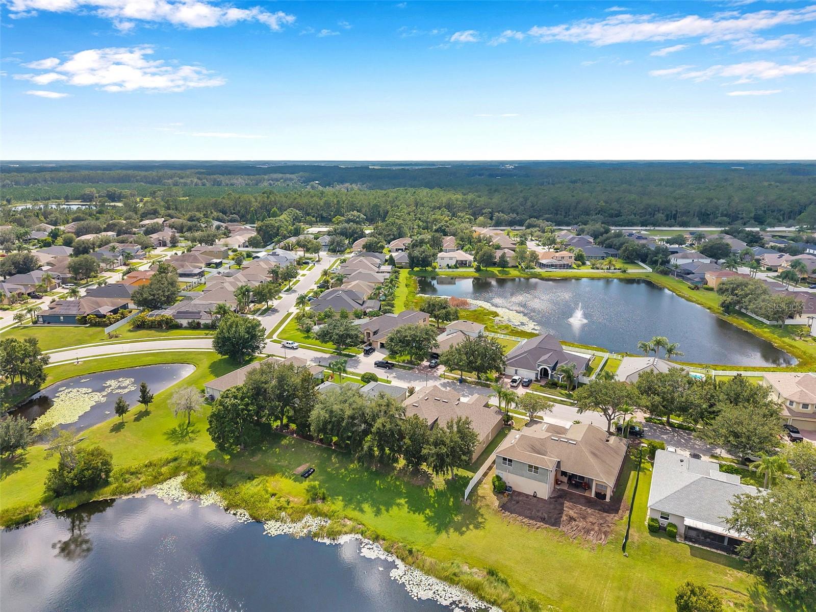 4812 WALNUT RIDGE RD, LAND O LAKES, FL, 34638