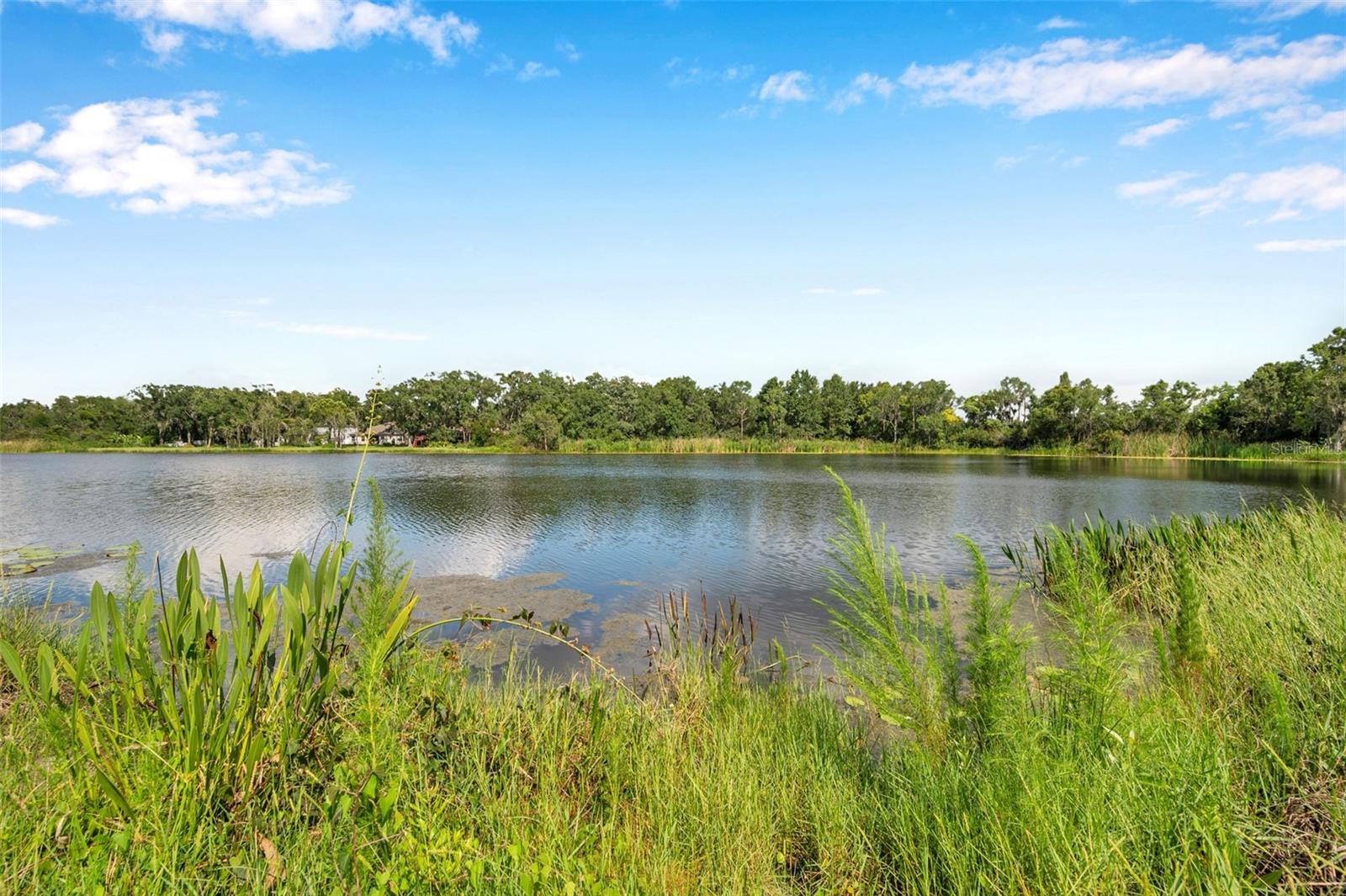 4812 WALNUT RIDGE RD, LAND O LAKES, FL, 34638