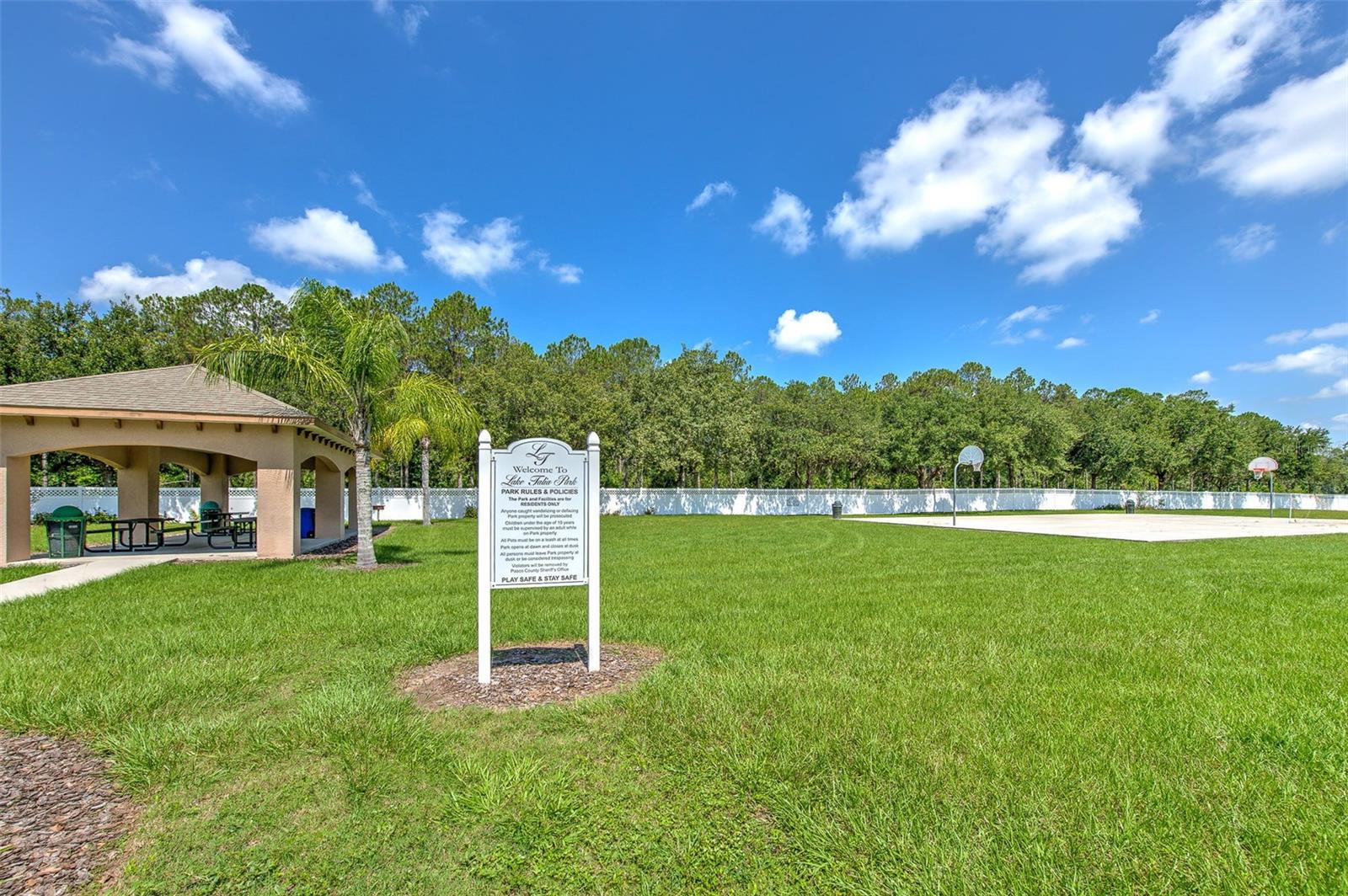 4812 WALNUT RIDGE RD, LAND O LAKES, FL, 34638