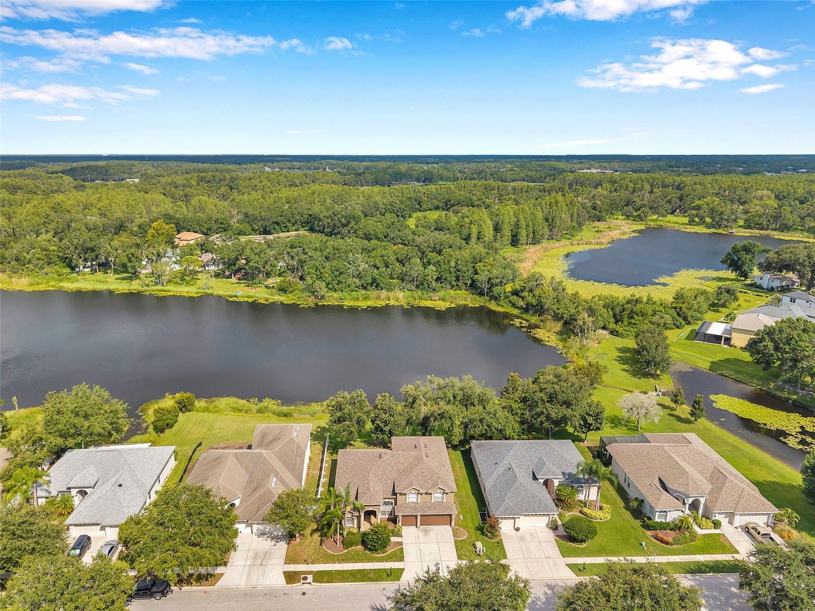 4812 WALNUT RIDGE RD, LAND O LAKES, FL, 34638