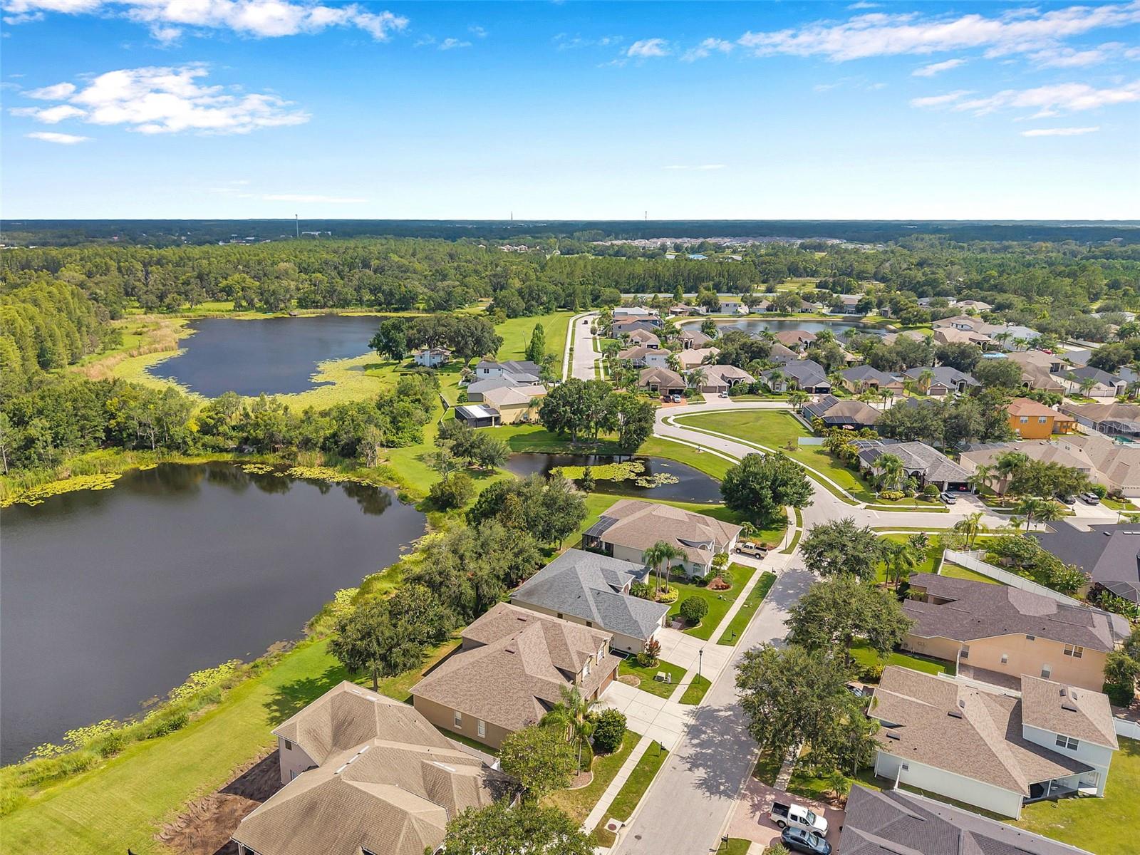 4812 WALNUT RIDGE RD, LAND O LAKES, FL, 34638