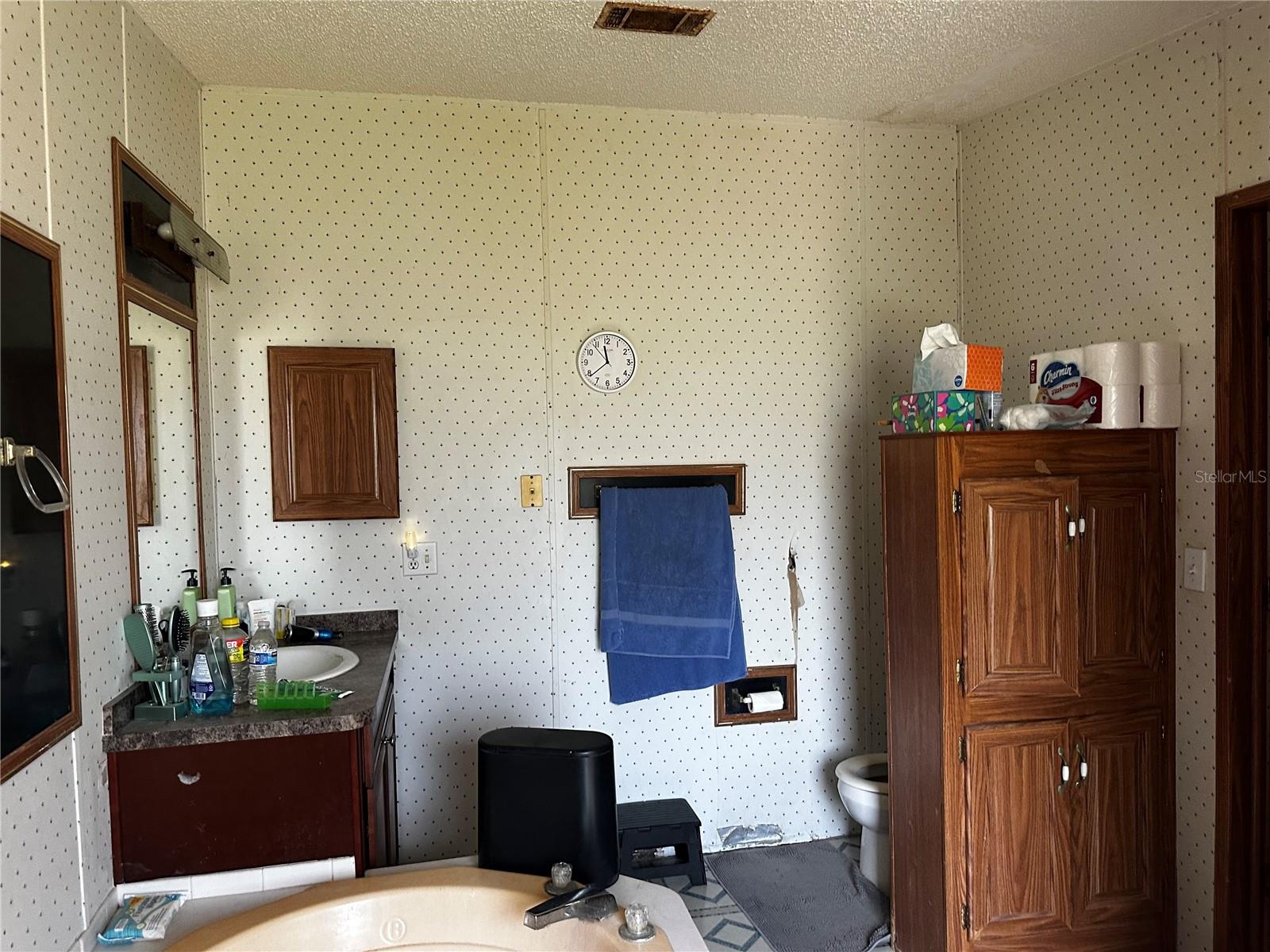 2765 KERLEW DR, ZOLFO SPRINGS, FL, 33890