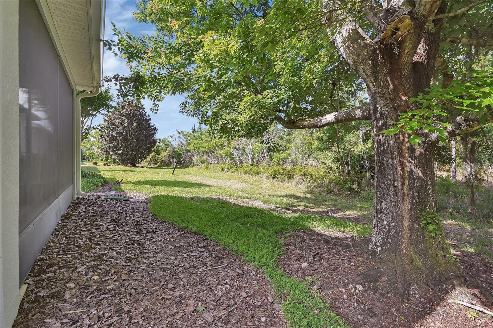 525 HERON POINT WAY, DELAND, FL, 32724