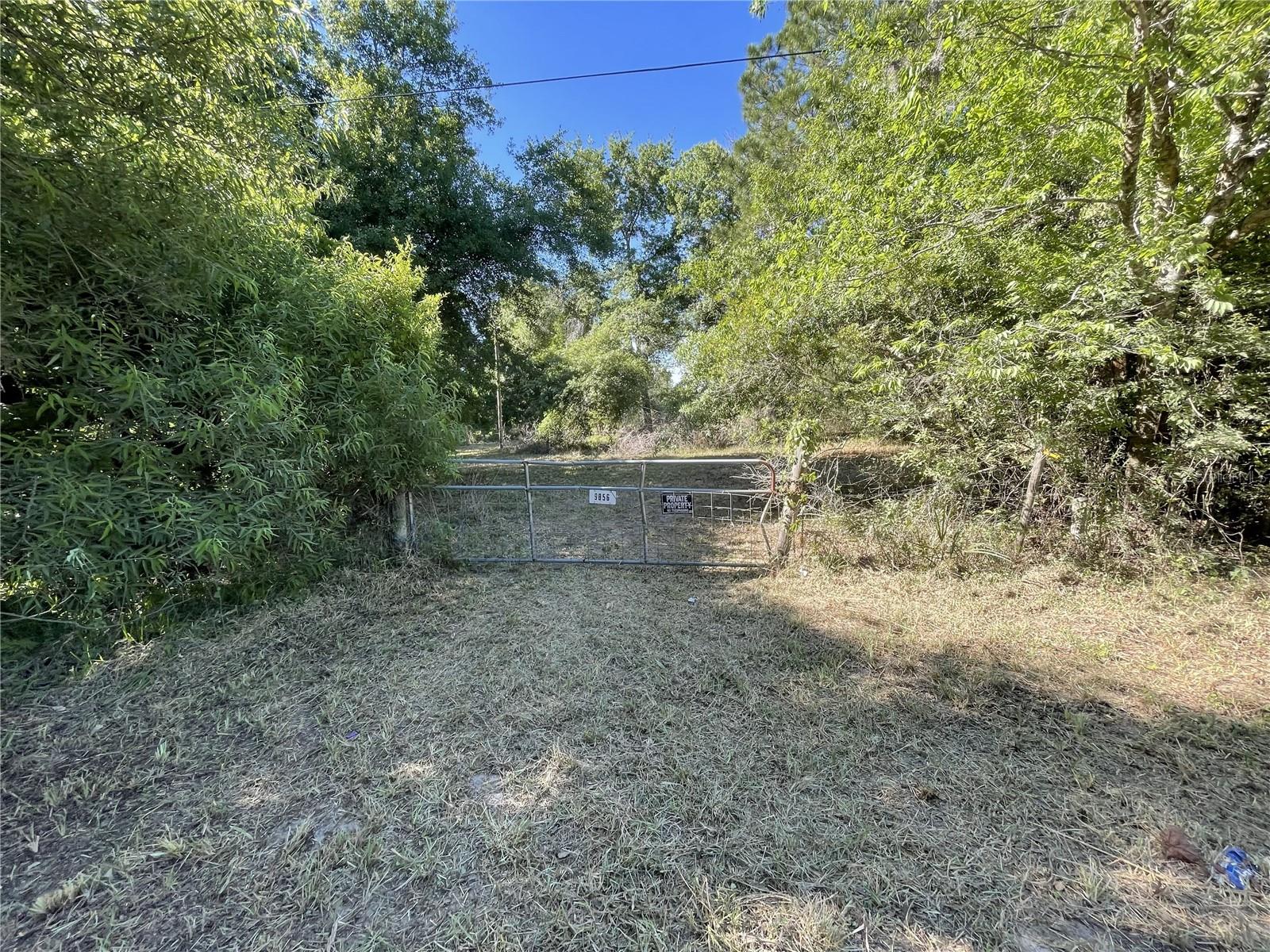 9856 PANGOLA LOOP, LAND O LAKES, FL, 34639