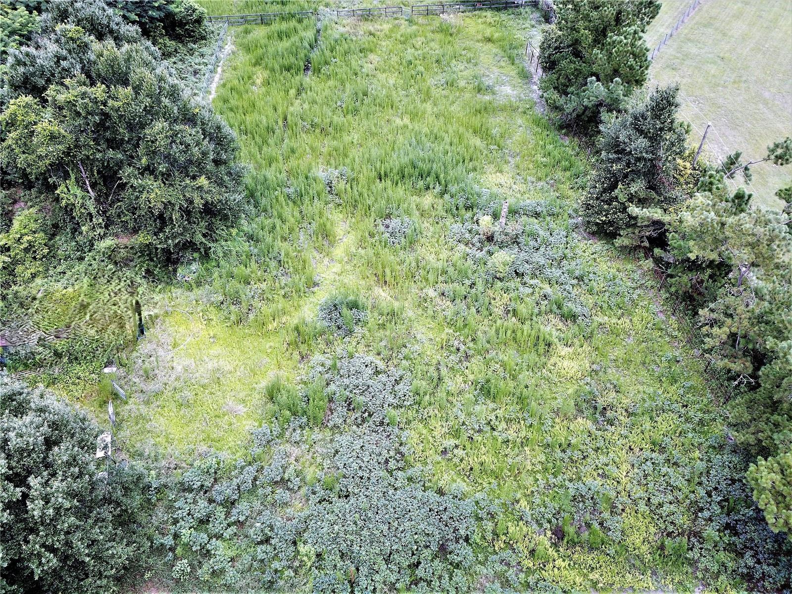 9856 PANGOLA LOOP, LAND O LAKES, FL, 34639