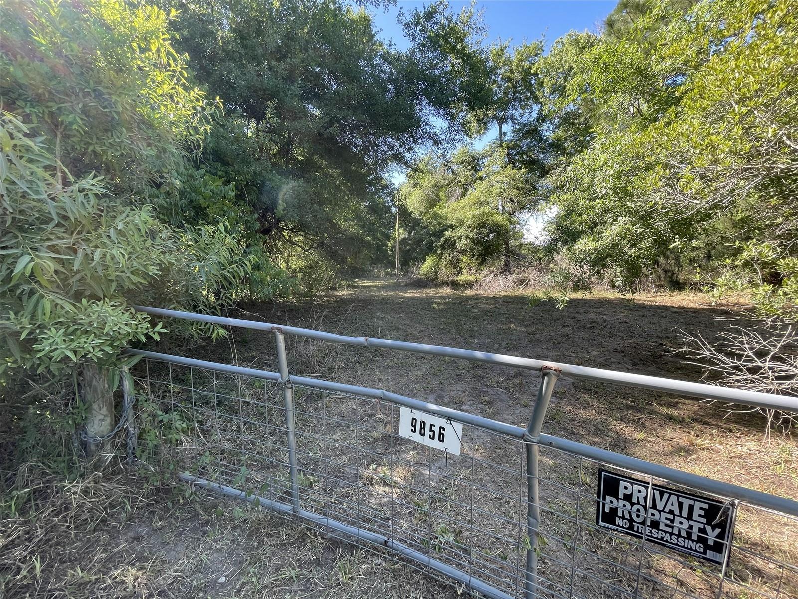 9856 PANGOLA LOOP, LAND O LAKES, FL, 34639