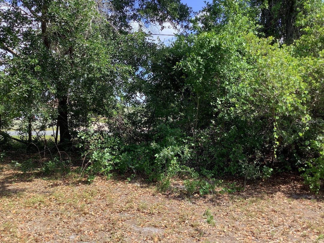 0 WINNERS CIR, KISSIMMEE, FL, 34744