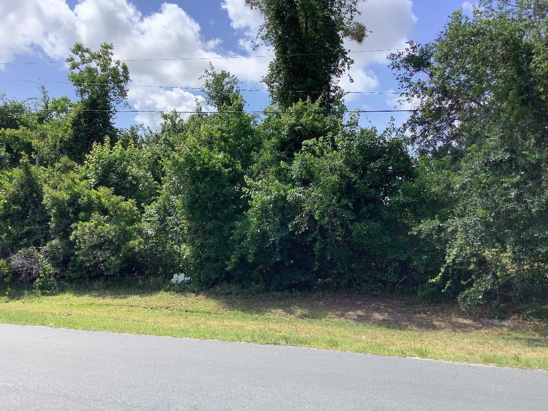 0 WINNERS CIR, KISSIMMEE, FL, 34744