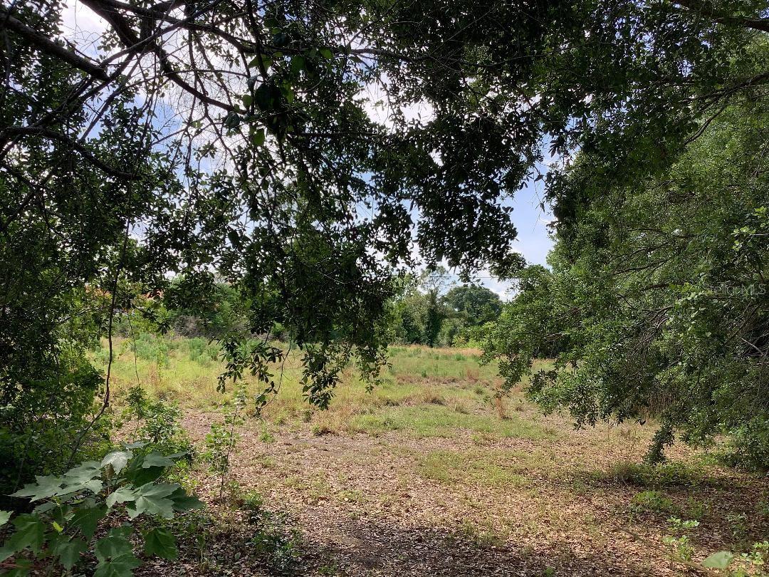 0 WINNERS CIR, KISSIMMEE, FL, 34744