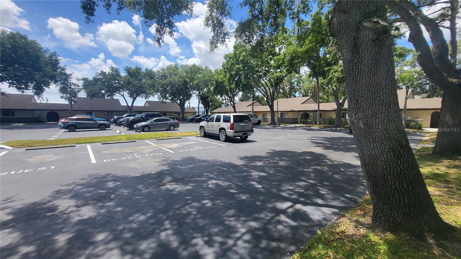 6262 142ND AVE N #905, CLEARWATER, FL, 33760