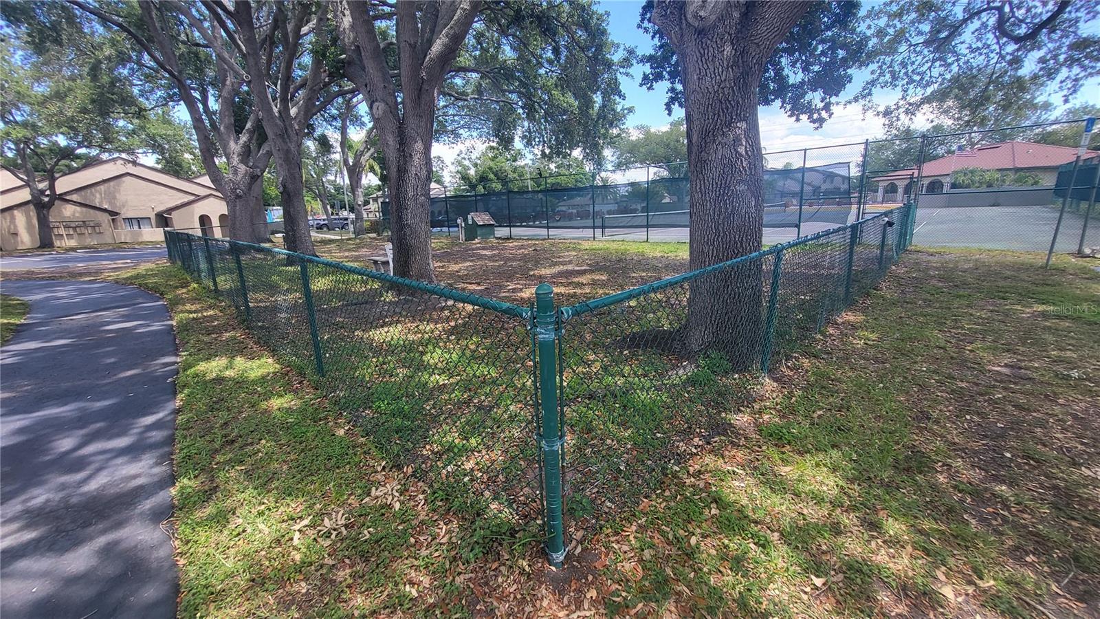 6262 142ND AVE N #905, CLEARWATER, FL, 33760