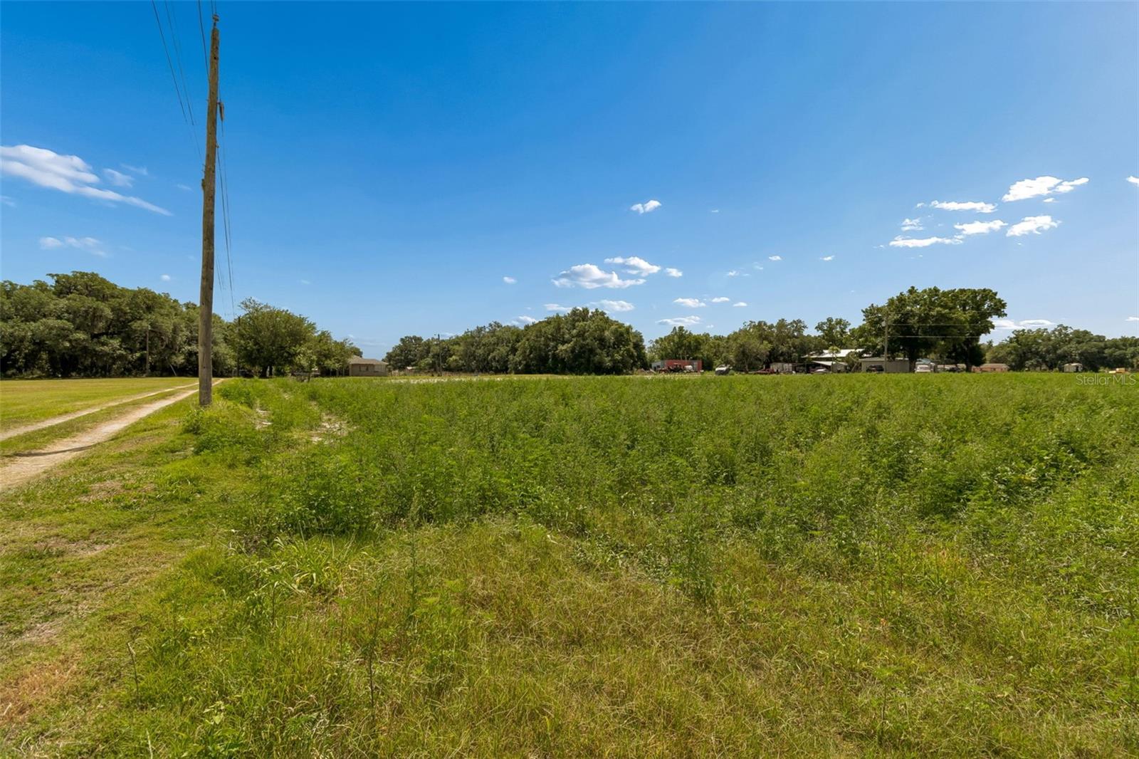 2413 ED BROWN LN, PLANT CITY, FL, 33567