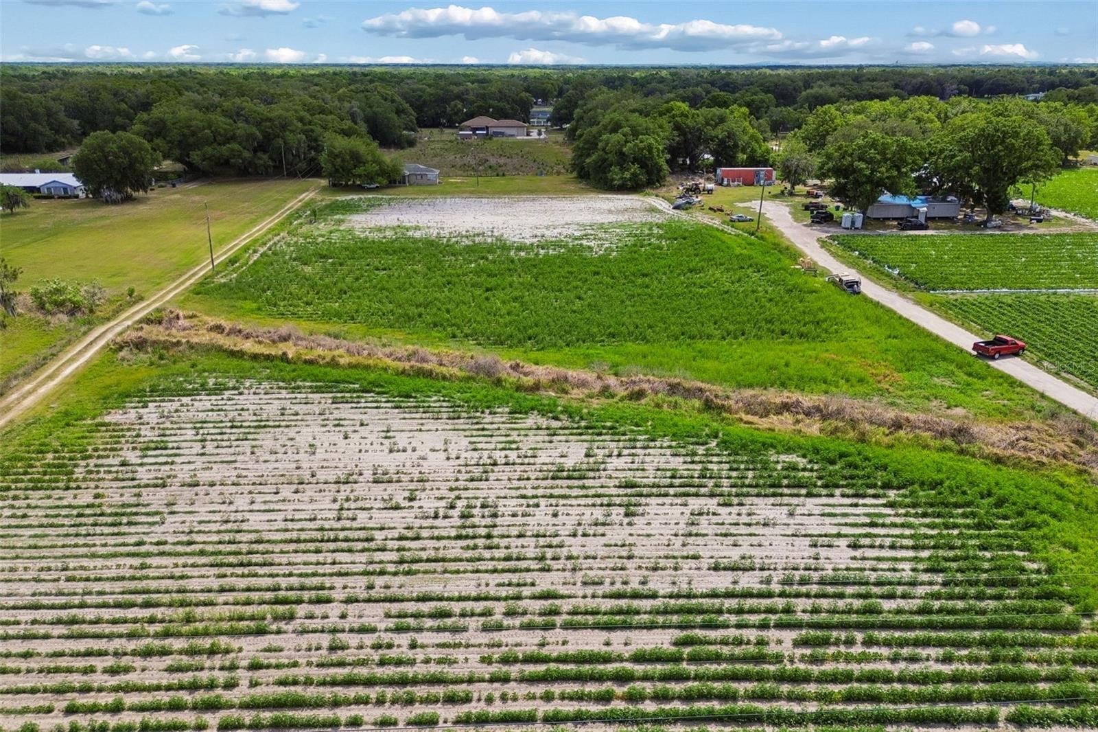 2413 ED BROWN LN, PLANT CITY, FL, 33567