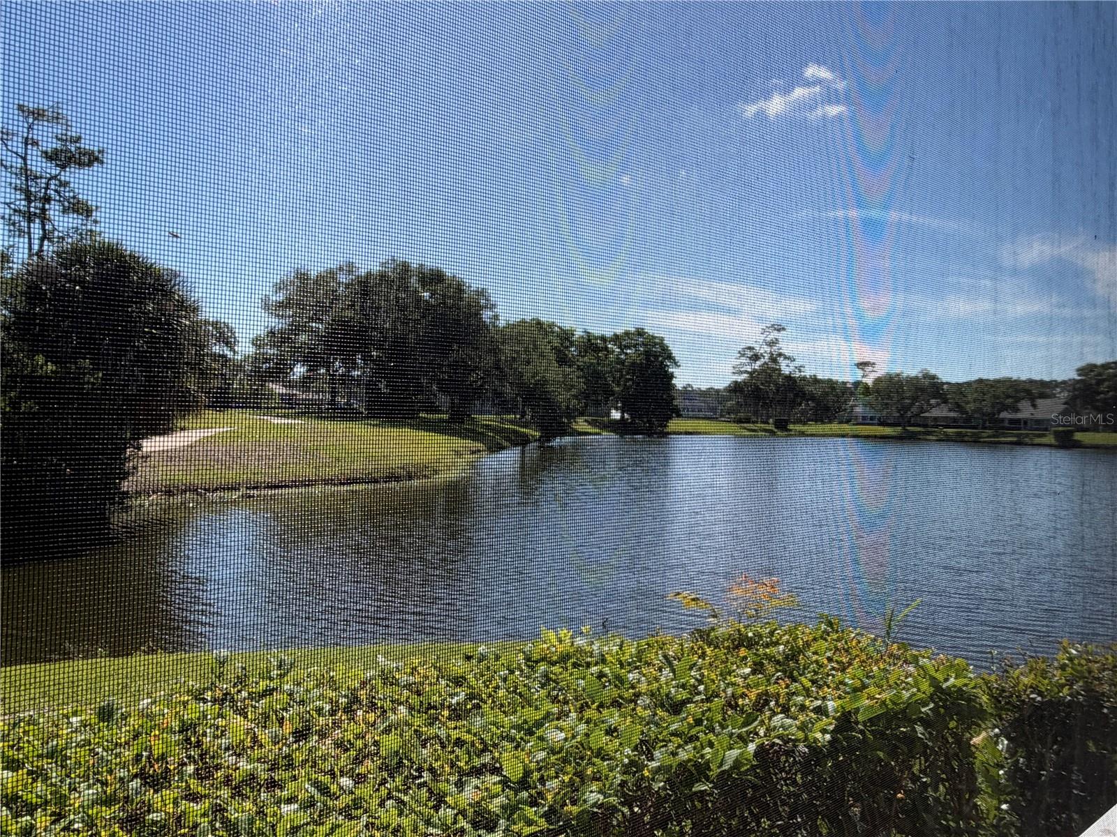 1 MAGNOLIA DR S #1, ORMOND BEACH, FL, 32174