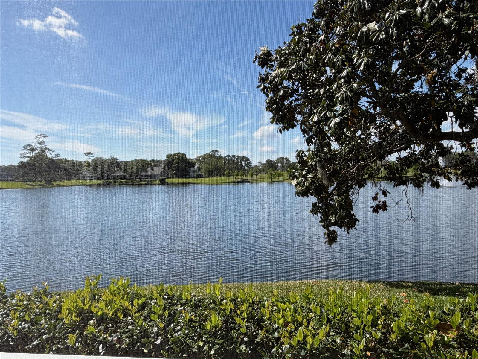 1 MAGNOLIA DR S #1, ORMOND BEACH, FL, 32174