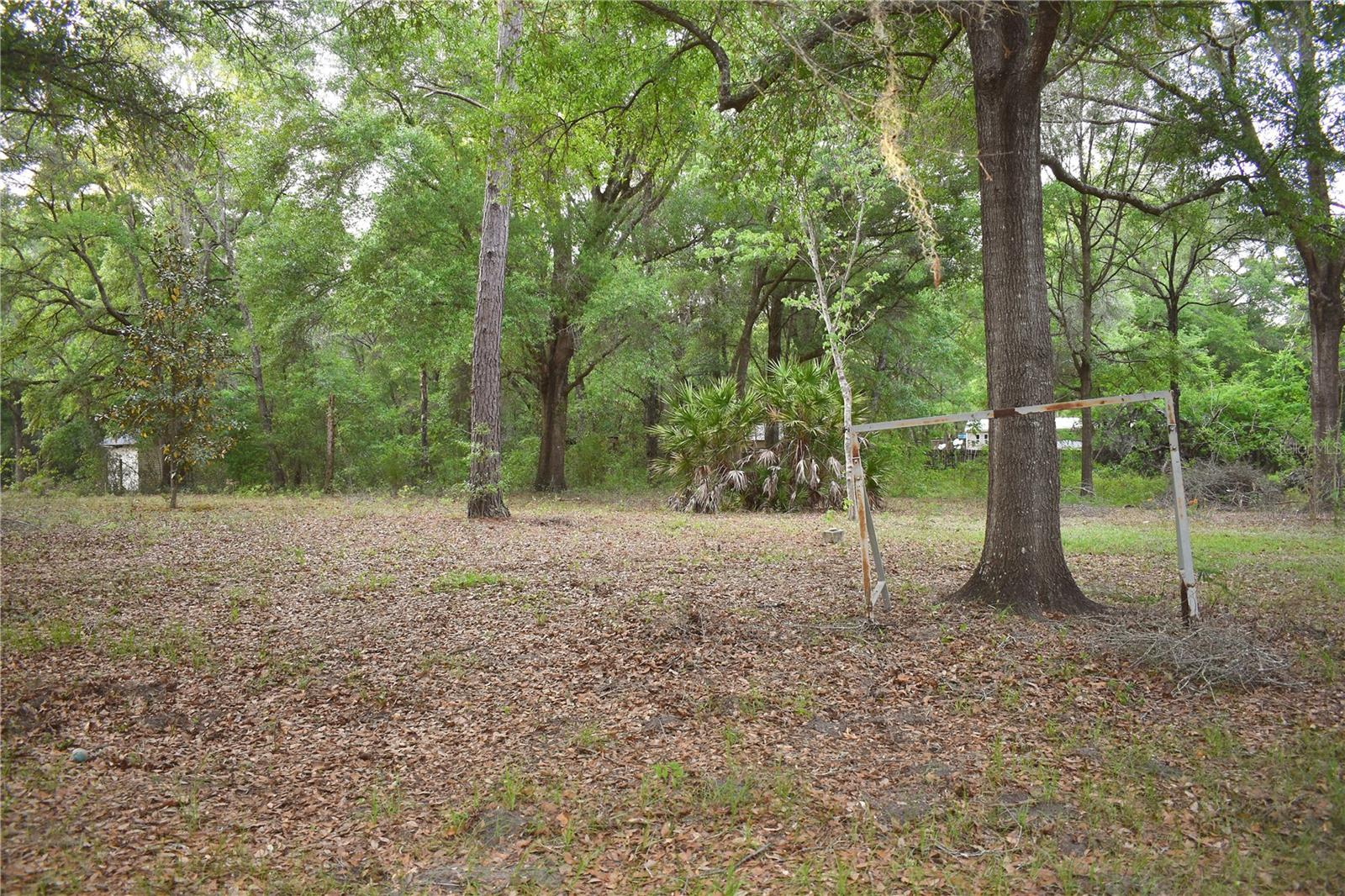 8231 NE 111TH ST, BRONSON, FL, 32621