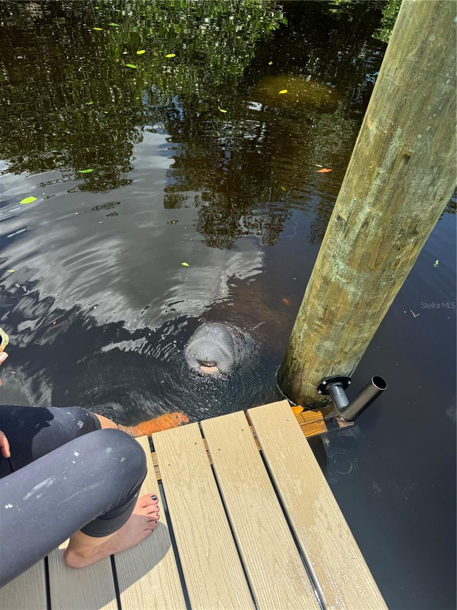 265 96TH AVE N, ST PETERSBURG, FL, 33702