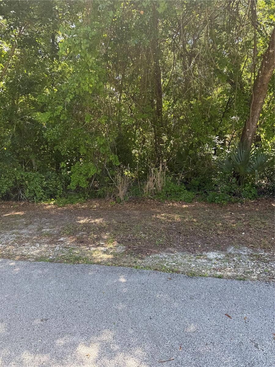1797 W UNION ST, HERNANDO, FL, 34442