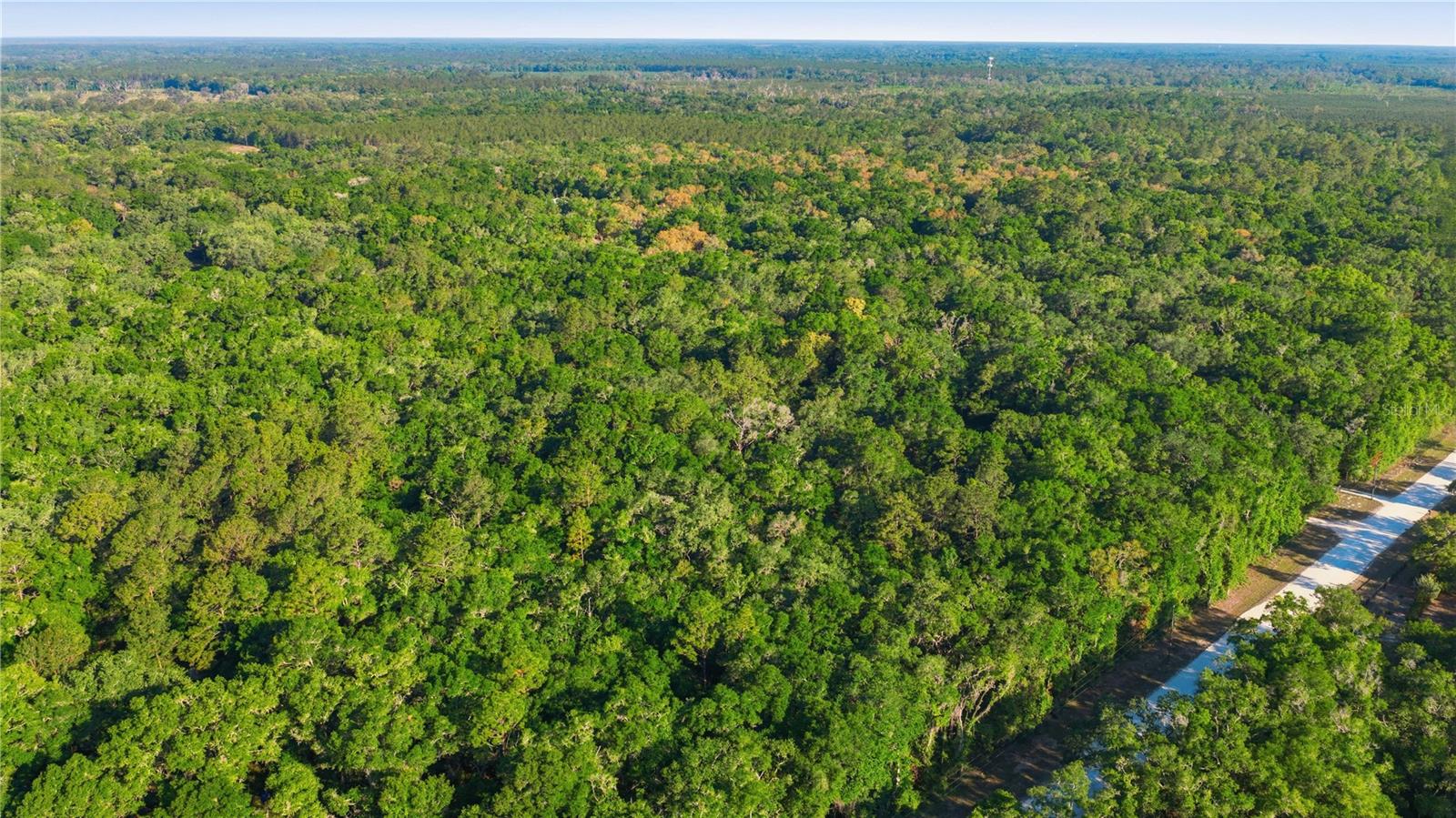 7850 NE 178TH TER, WILLISTON, FL, 32696