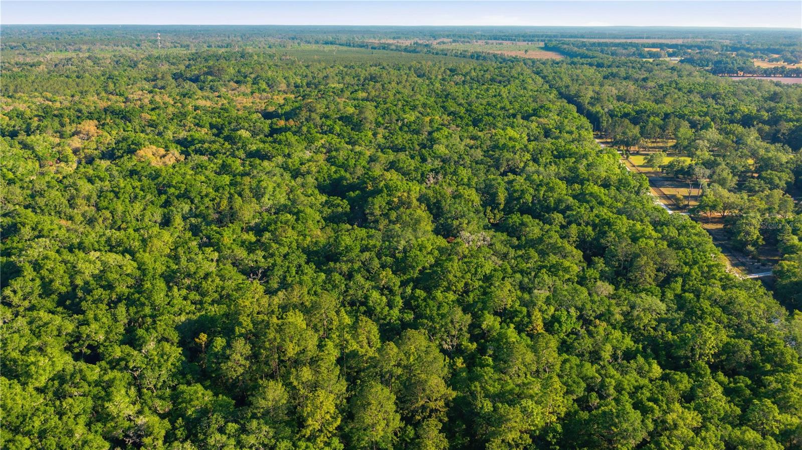 7850 NE 178TH TER, WILLISTON, FL, 32696