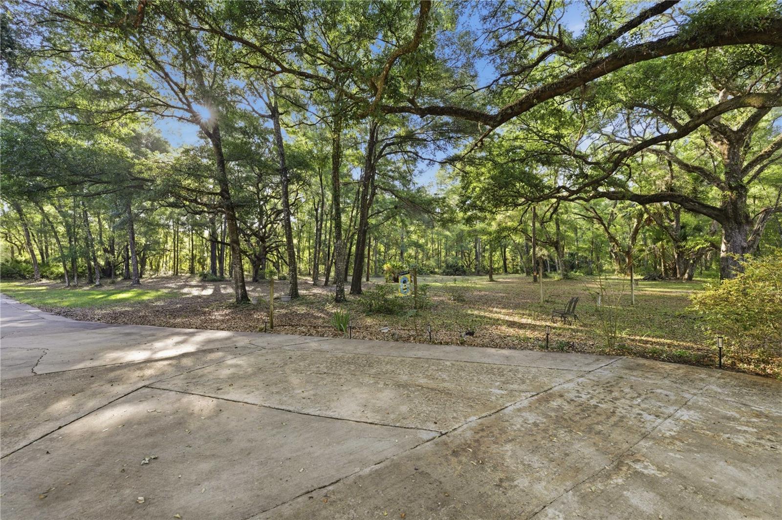 7850 NE 178TH TER, WILLISTON, FL, 32696