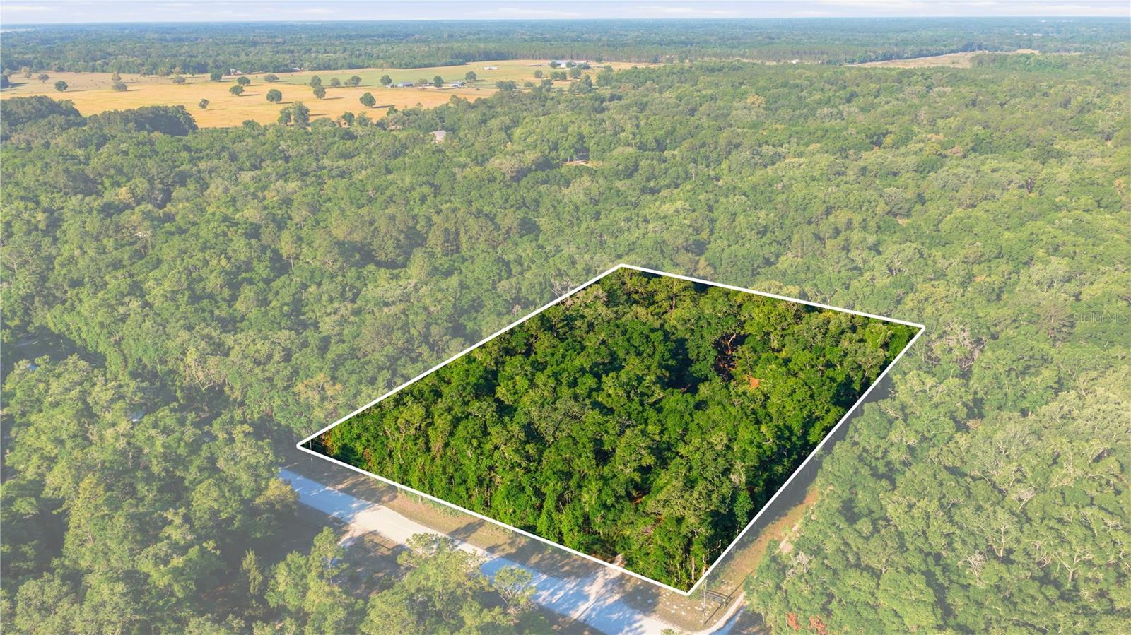 7850 NE 178TH TER, WILLISTON, FL, 32696