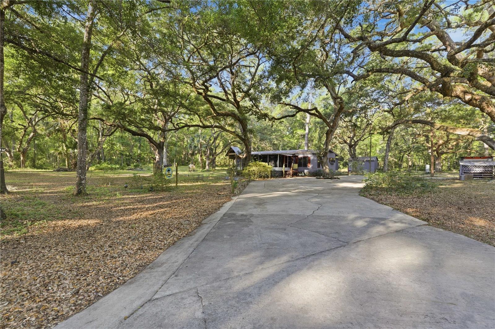 7850 NE 178TH TER, WILLISTON, FL, 32696